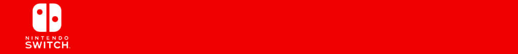 Nintendo Banner